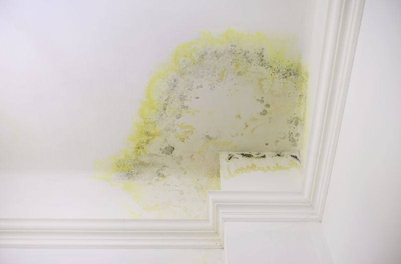 Molding Painting in Waco, TX